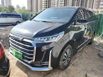Maxus G20