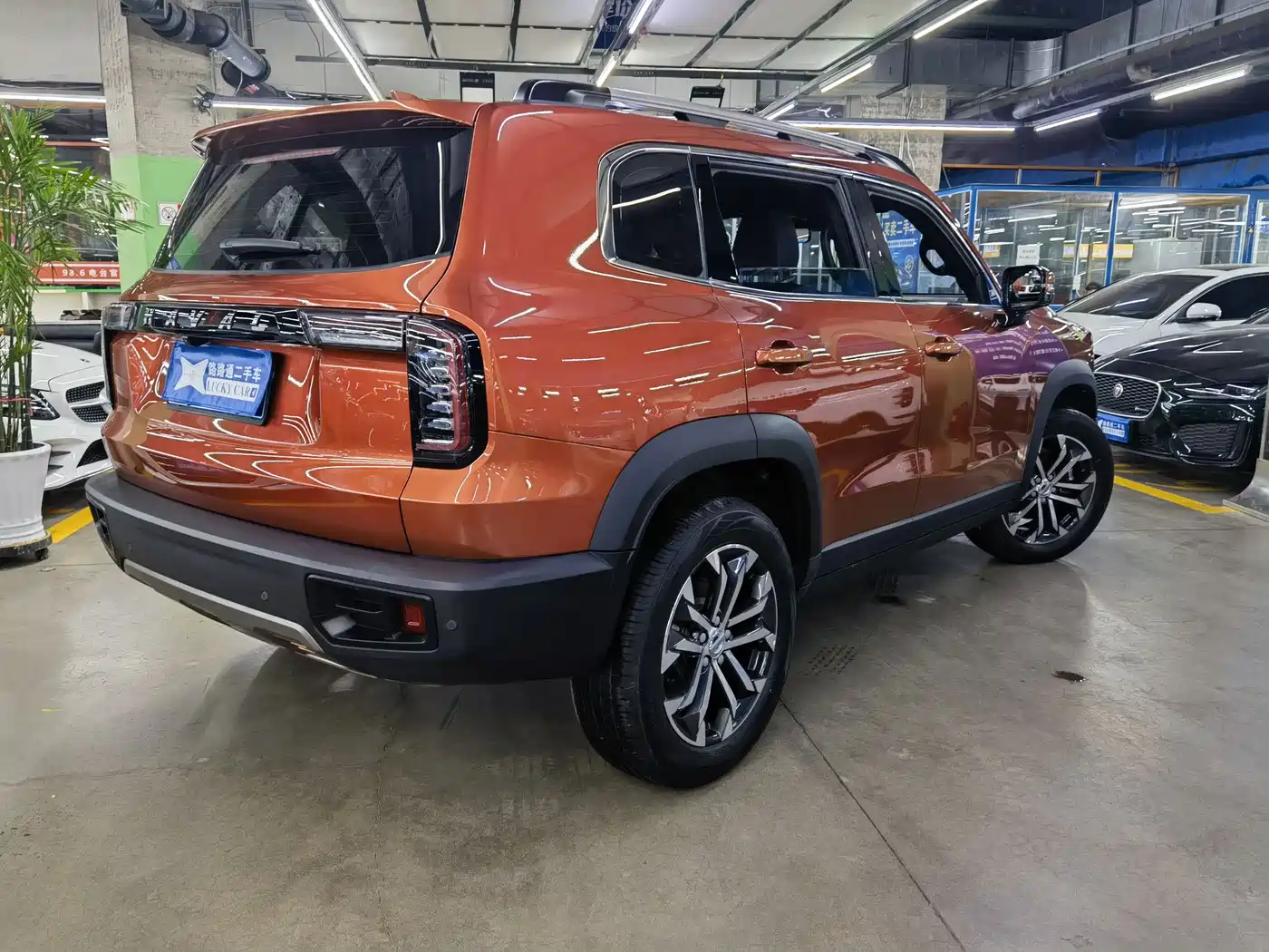 Haval Big Dog 2021 1.5T DCT 2WD Border Collie Edition фото 4