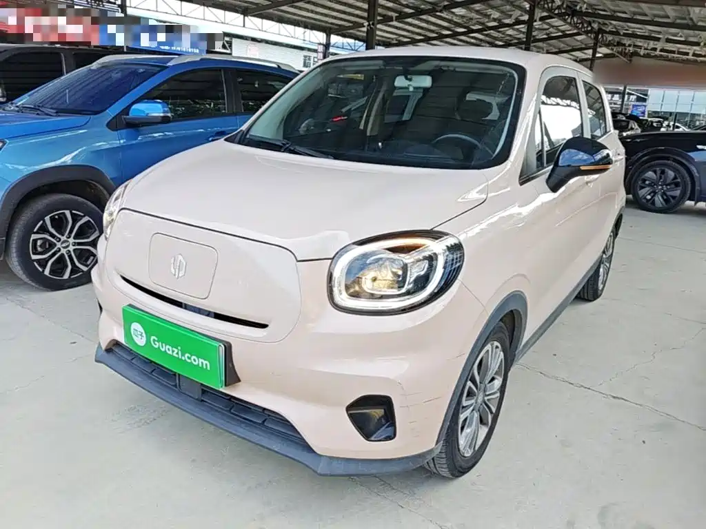  Leapmotor Leapmotor T03 2021 400 Lite Edition LFP