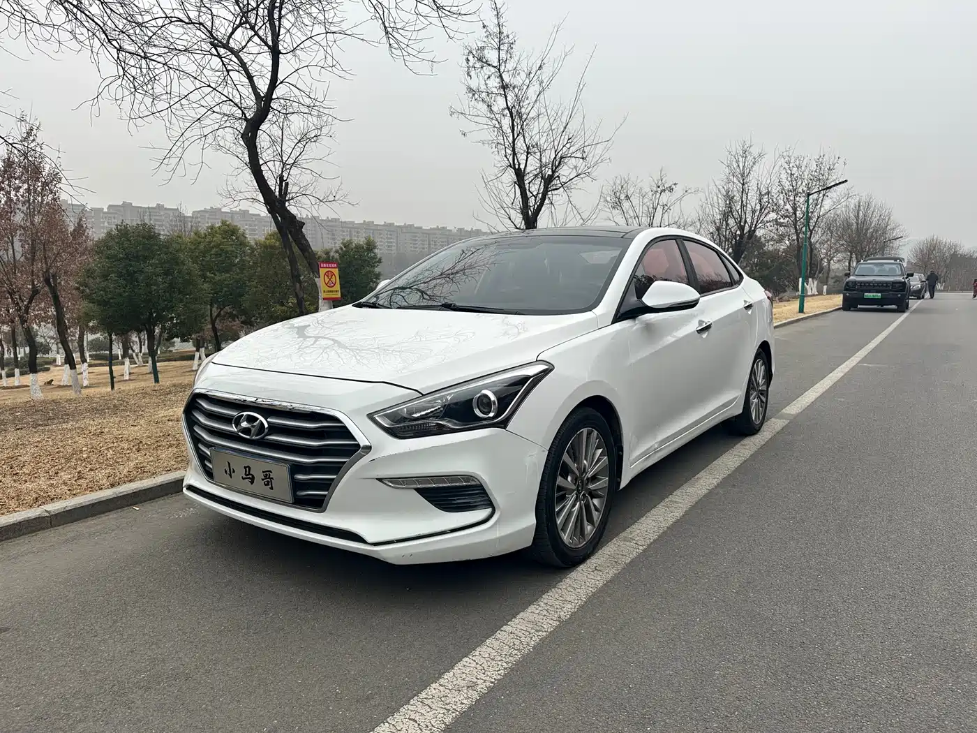 HYUNDAI NAME PICTURE