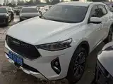 Фото 1 - Haval F7