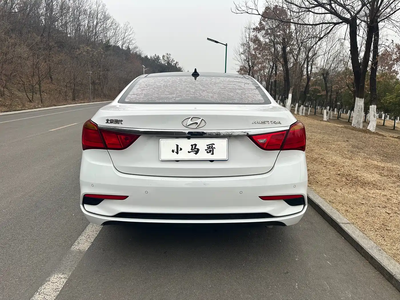 HYUNDAI NAME PICTURE