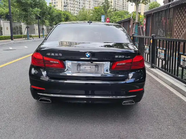 BMW 5 Series New Energy 2020 530Le Luxury Package — фото 5