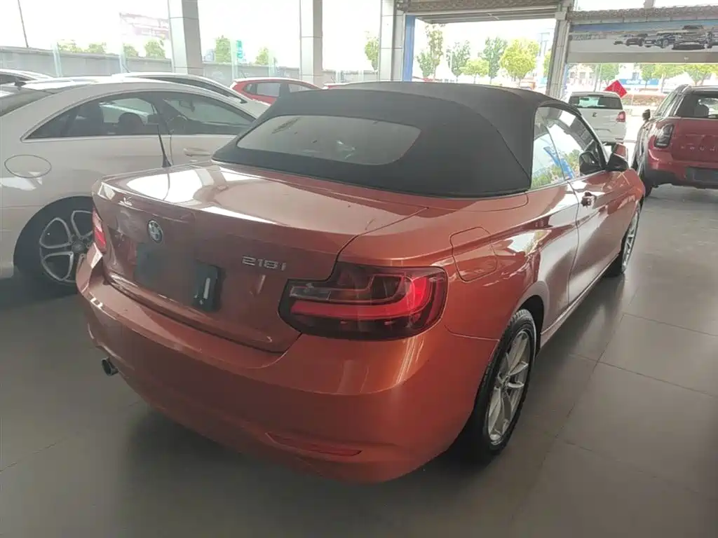 BMW 2 Series (Import) 2015 218i Convertible Coupe фото 7