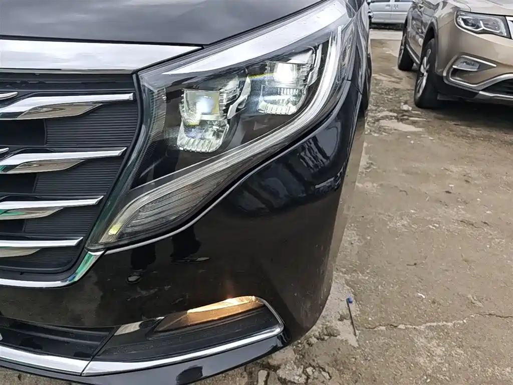 GAC Trumpchi Trumpchi M8 2018 320T Exclusive Edition фото 24