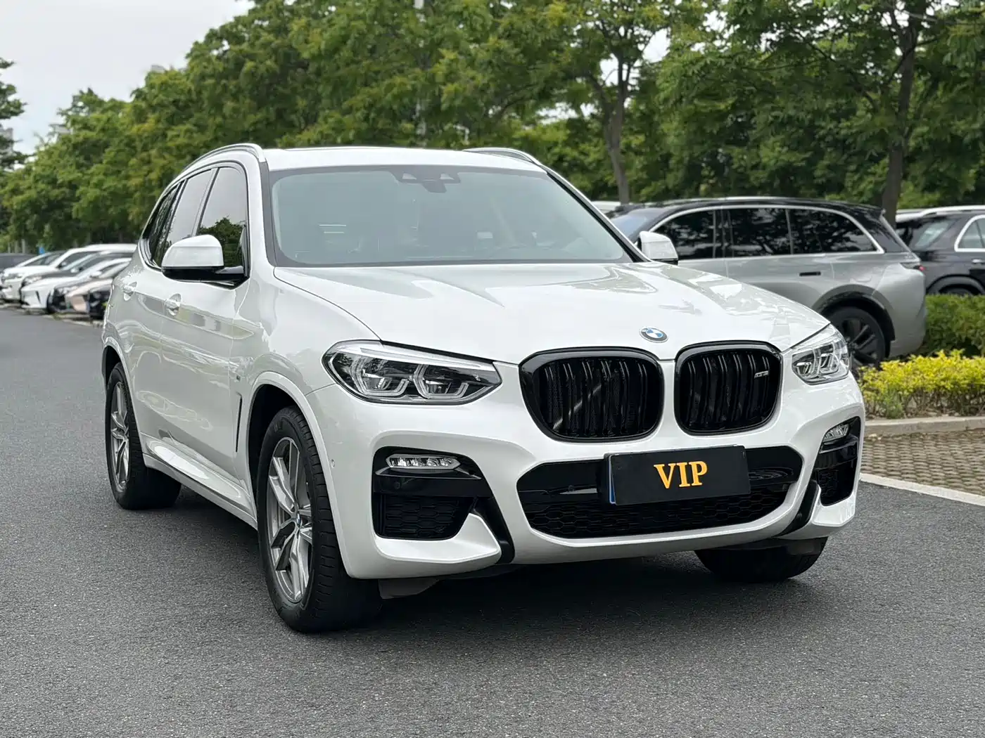BMW X3 2018 xDrive25i M Sport Package China V фото 2