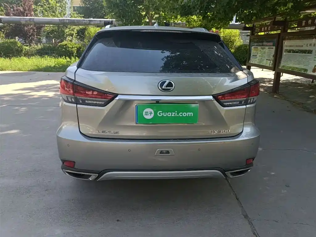 LEXUS RX