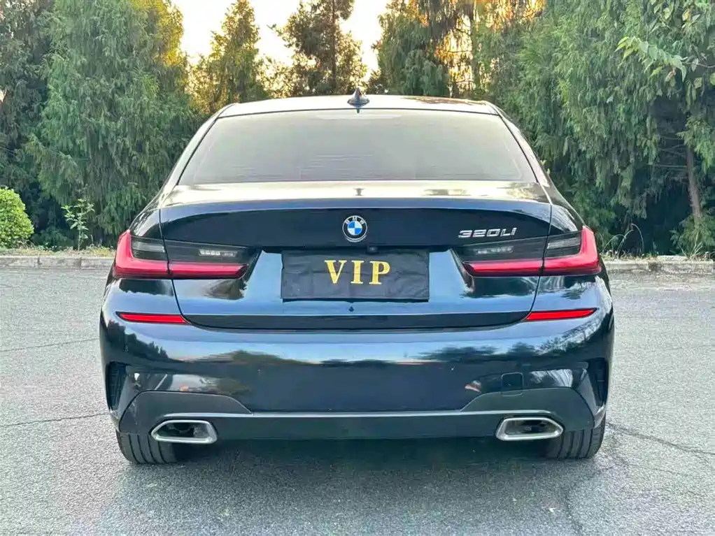 BMW 3 Series 2020 325i M Sport Package фото 8