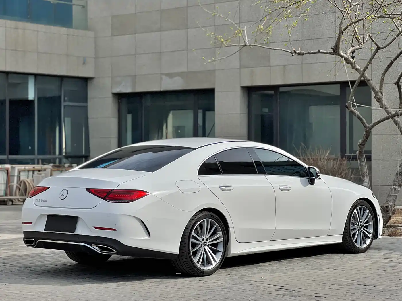 Mercedes-Benz CLS 2018 CLS 300 Luxury фото 17