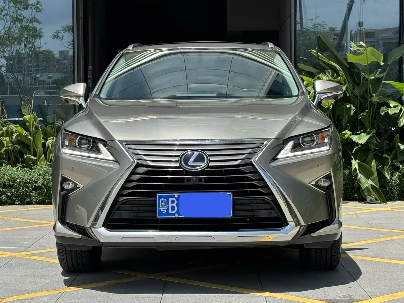 Фото 2 - Lexus RX
