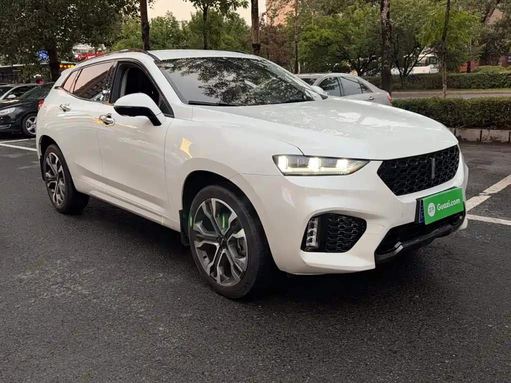 WEY VV7 2019 2017 2.0T Super Luxury