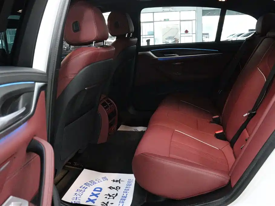 BMW 5 Series New Energy 2023 2022 535Le M Sport Package