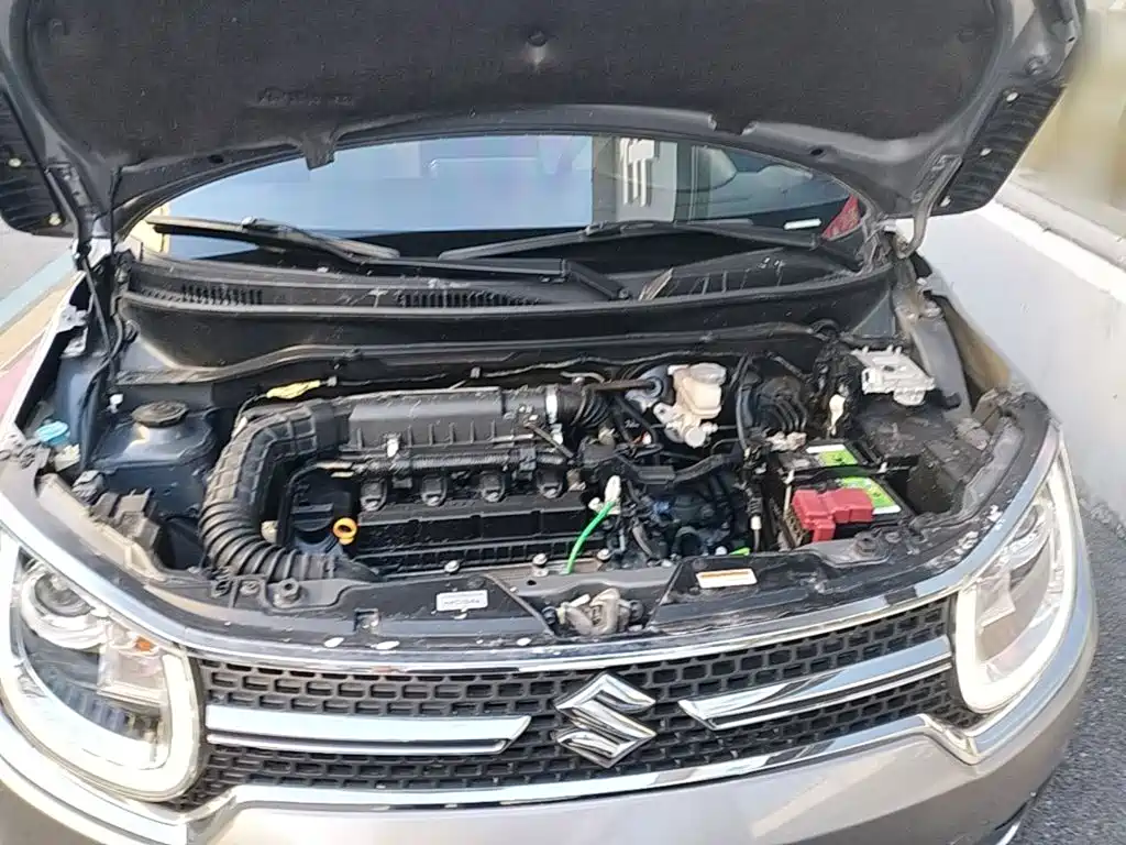 Suzuki Ignis 2017 2017 1.2L CVT Luxury Edition