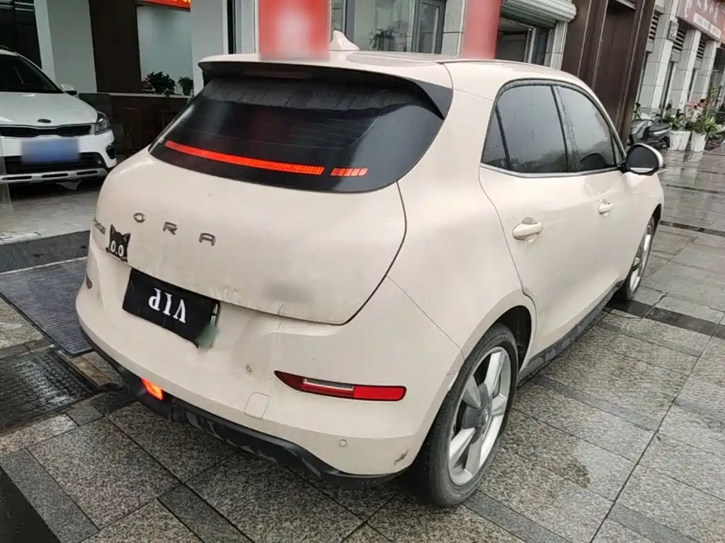 Ora Good Cat 2024 2023 401km Standard Range Luxury LFP