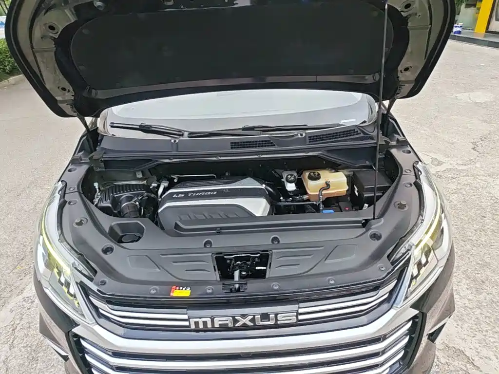 Фото 20 - SAIC Maxus Maxus G50