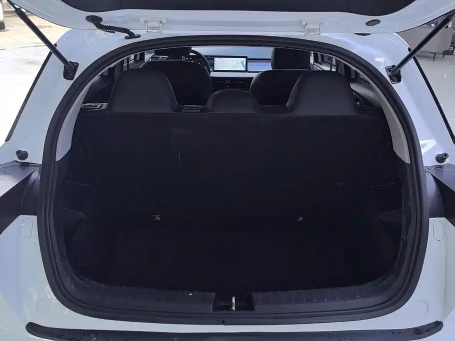 Geely Geometry E Firefly 2024 2024 Model 301km Starlight