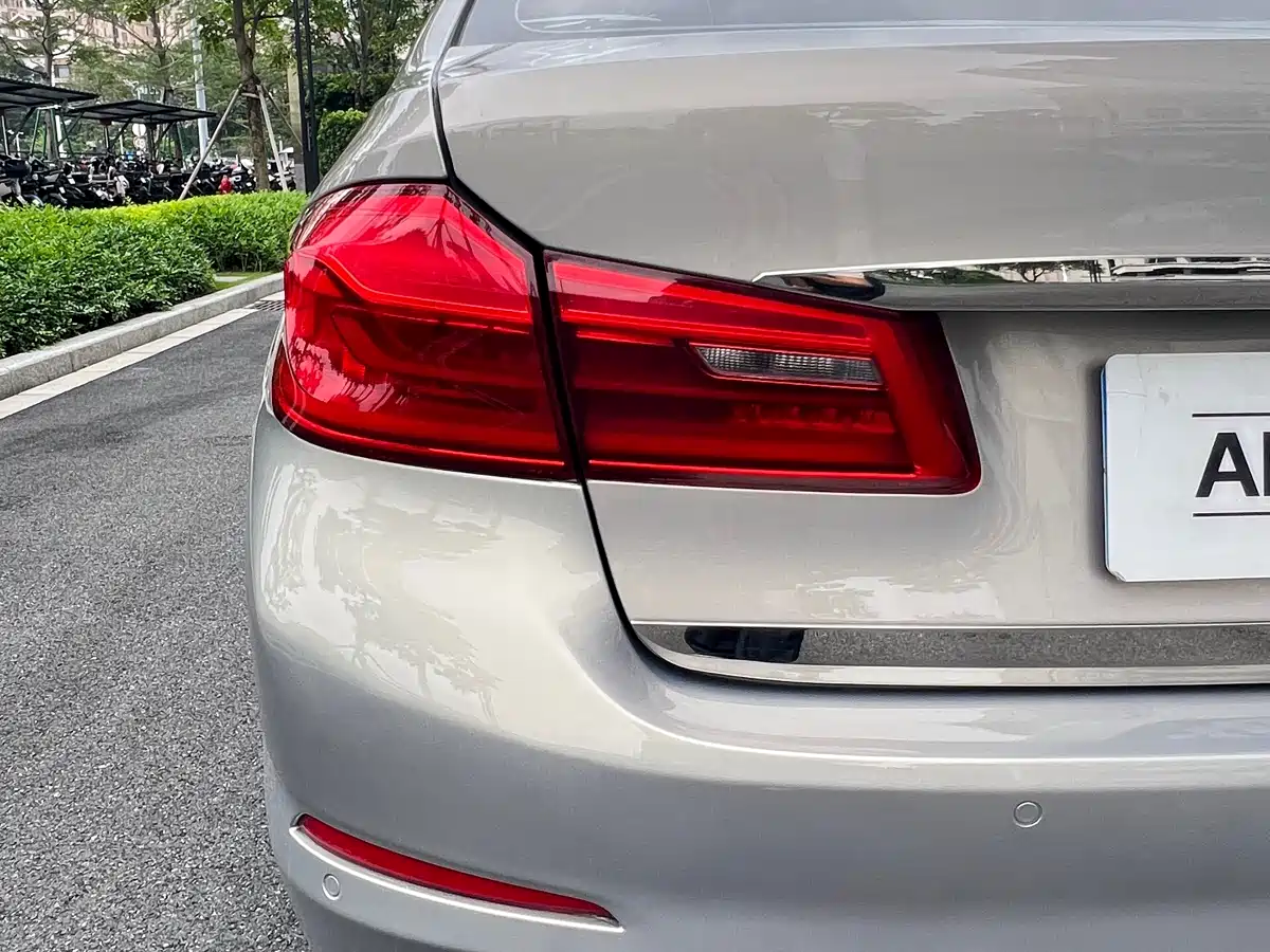 BMW 5 Series 2018 530Li Leading Luxury Package фото 23