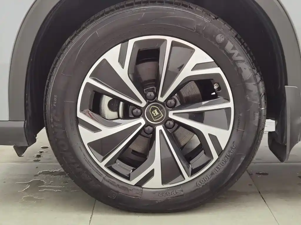 BYD Song Pro New Energy 2025 2025 2nd Gen DM-i 115KM Surpassing Type