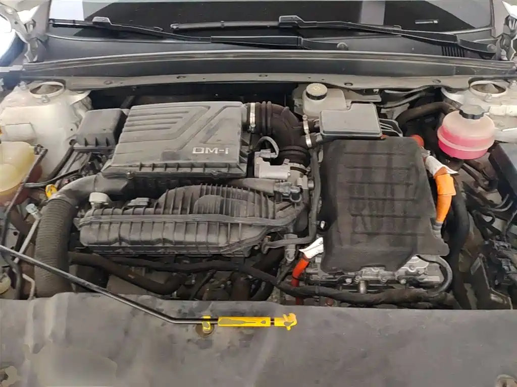 BYD Qin PLUS 2021 DM-i 55KM Flagship фото 20