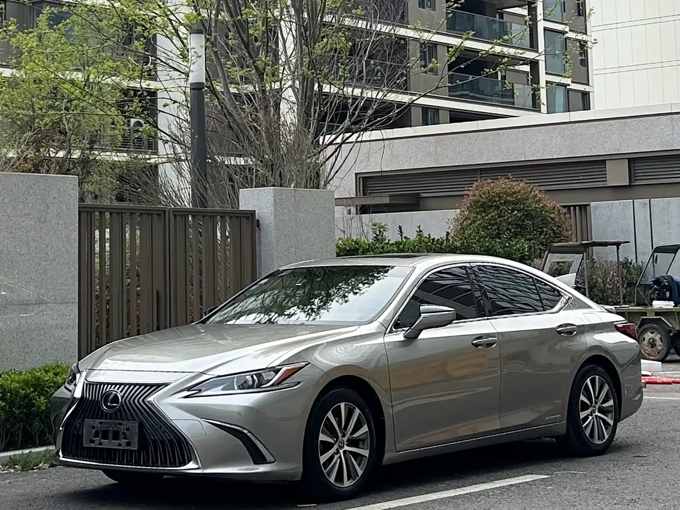 Lexus ES 2018 300h Excellence Edition China V