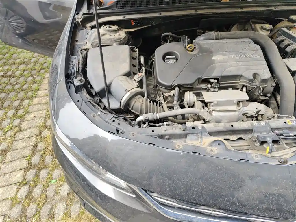 Chevrolet Malibu XL 2018 530T Auto RuiChi Edition фото 21