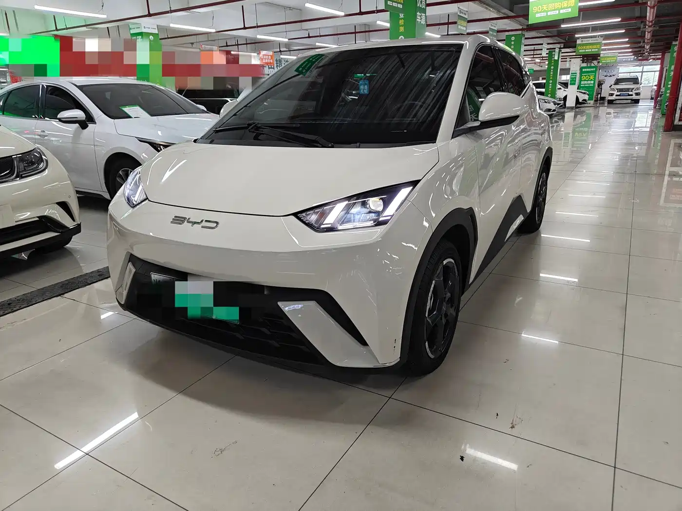 BYD Seagull 2023 2023 Freedom Edition