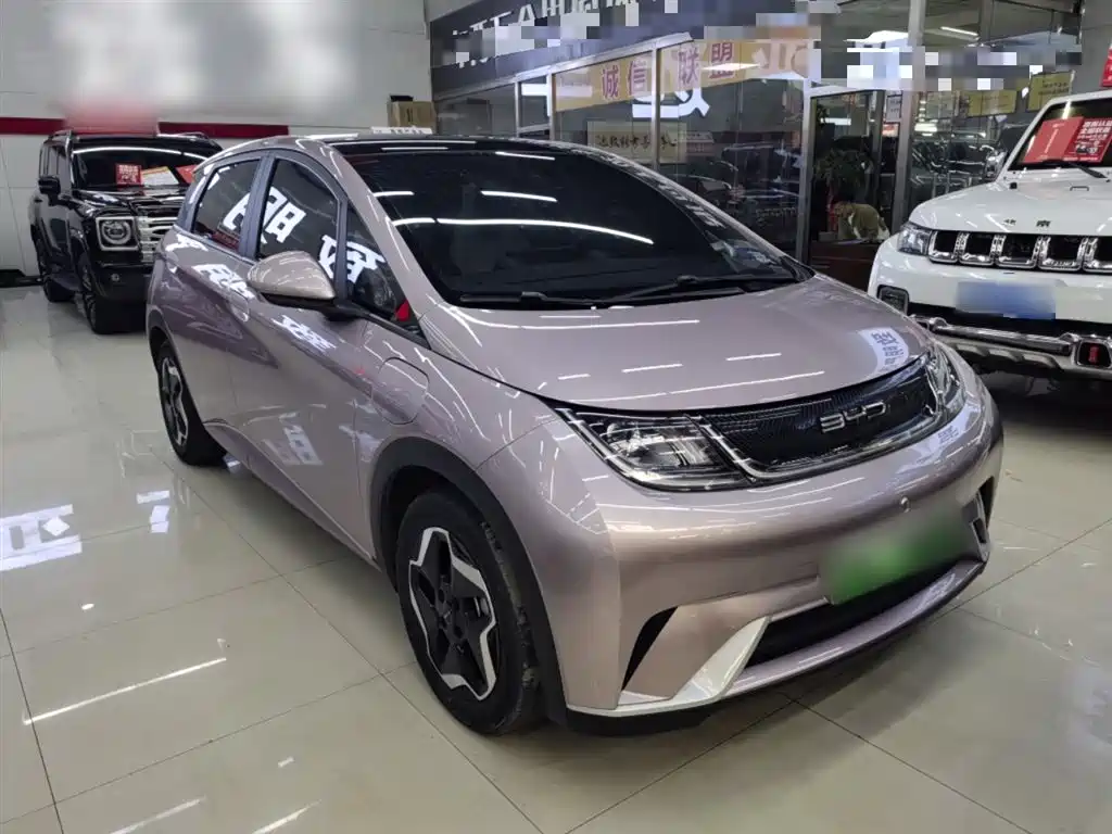 BYD Dolphin 2021 Model 405km Fashion Edition фото 22
