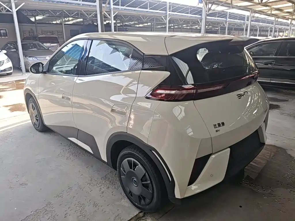 BYD Seagull 2026 2025 Smart Drive Edition 305km Vitality Version