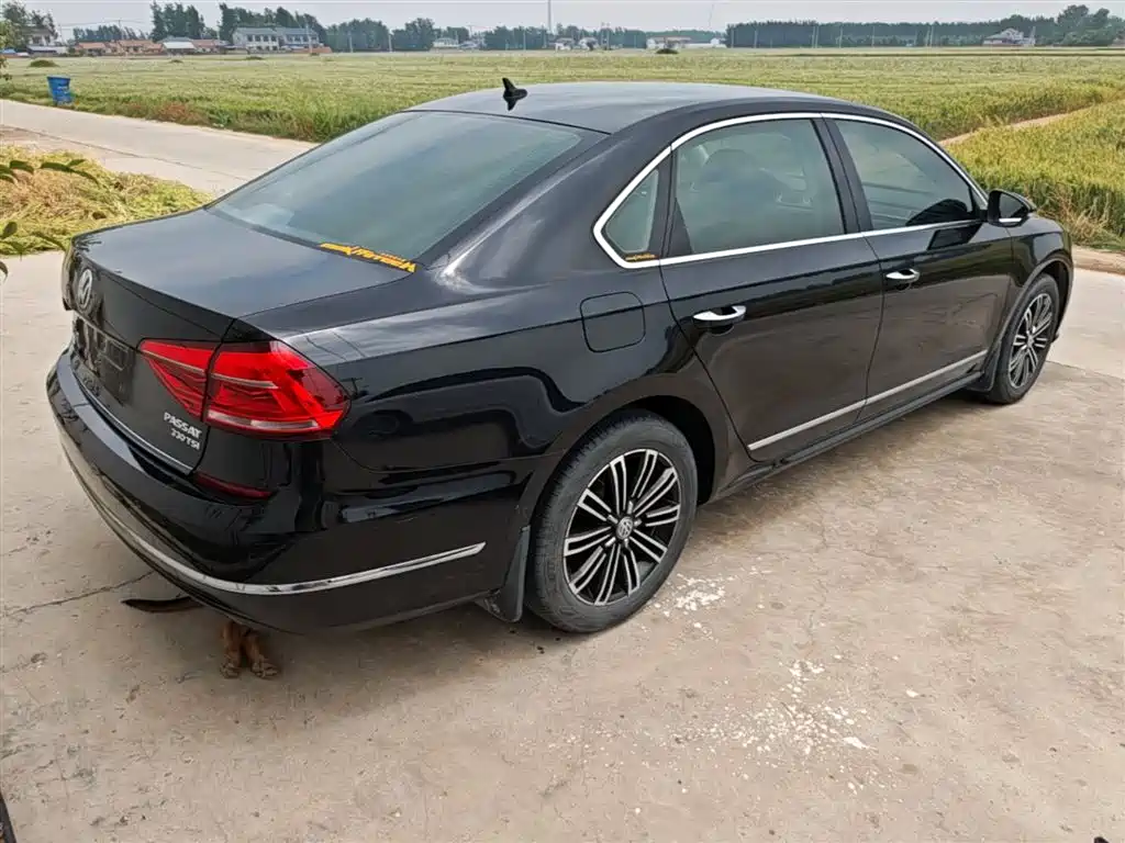 Volkswagen Passat 2017 330TSI DSG Luxury фото 7
