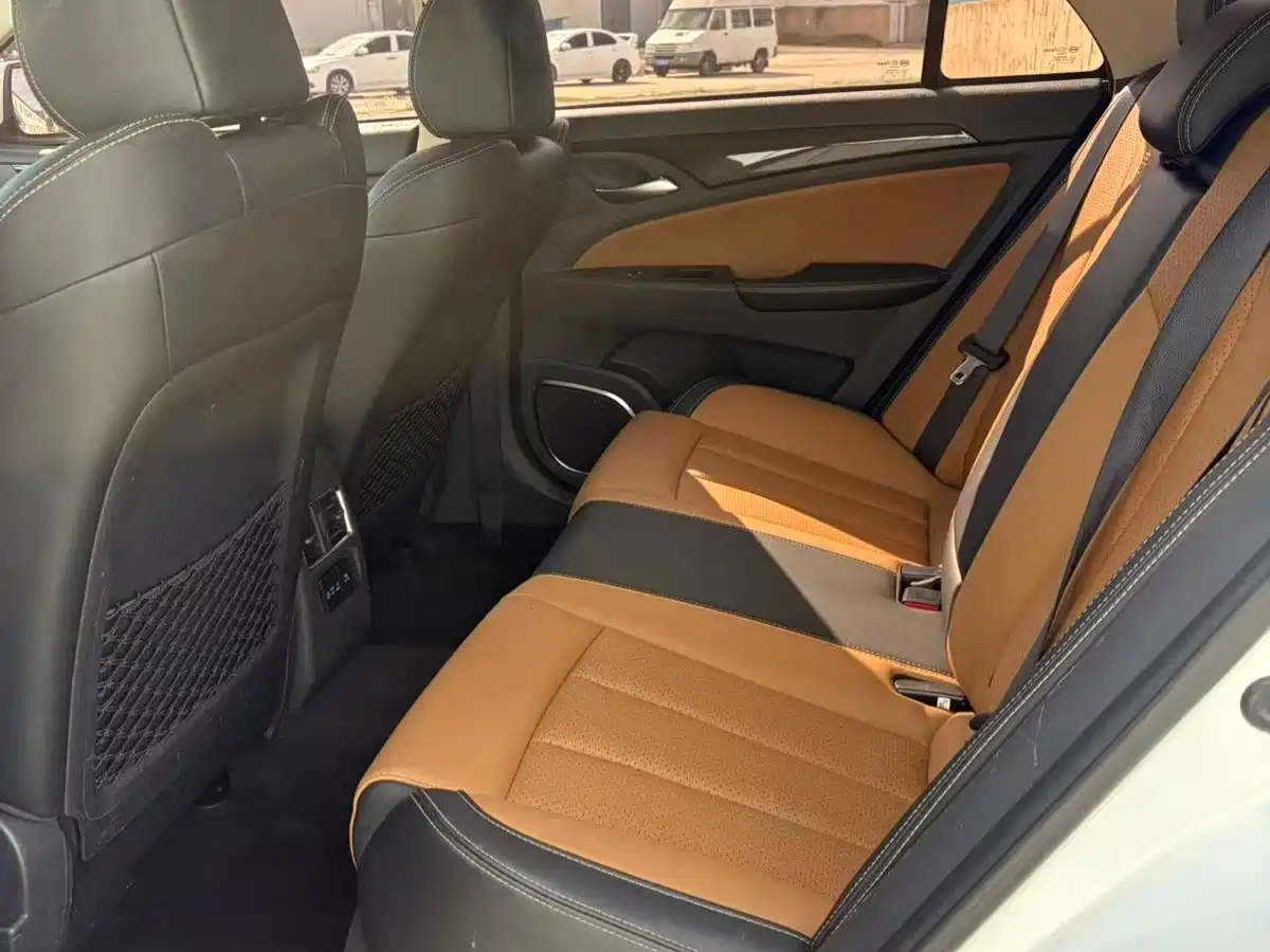 BYD Qin New Energy 2017 1.5T Premium Model фото 5