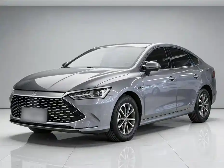 BYD Qin PLUS 2023 Champion Edition DM-i 55KM Leading
