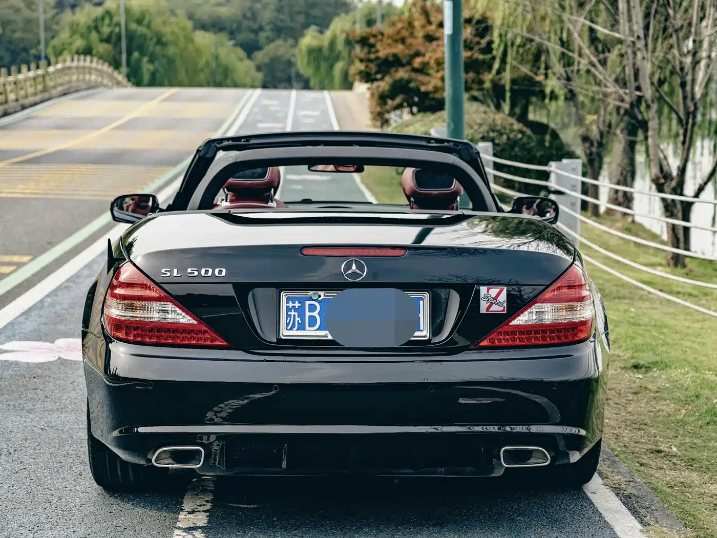Mercedes-Benz SL-Class 2010 SL 500 фото 4