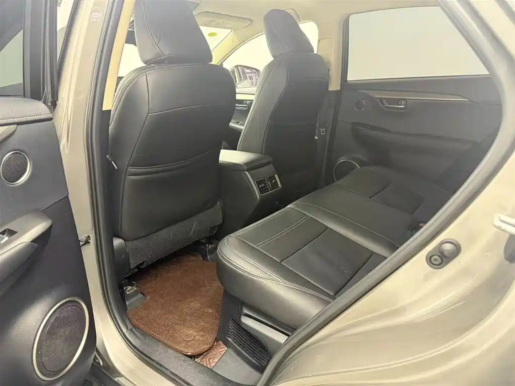 Lexus NX 2018 Model 200 FWD Fengxing Edition China V фото 10