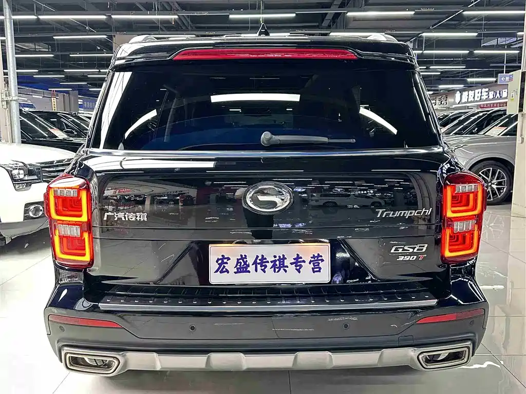 GAC Trumpchi Trumpchi GS8 2020 390T 2WD Luxury Smart Connect Anniversary Edition (7-Seater) фото 30
