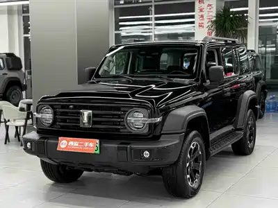 Tank 300