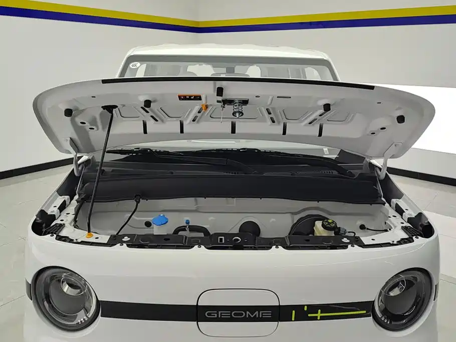 Geely Galaxy Panda 2026 2025 Panda mini 210km Vitality Bear