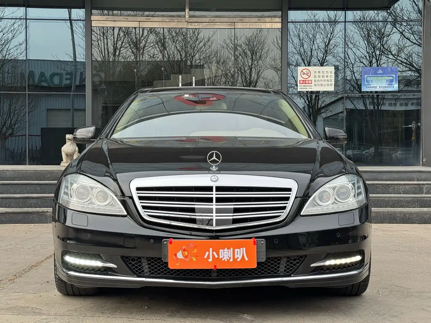 Mercedes-Benz S-Class 2012 S 300 L Luxury Grand Edition фото 3