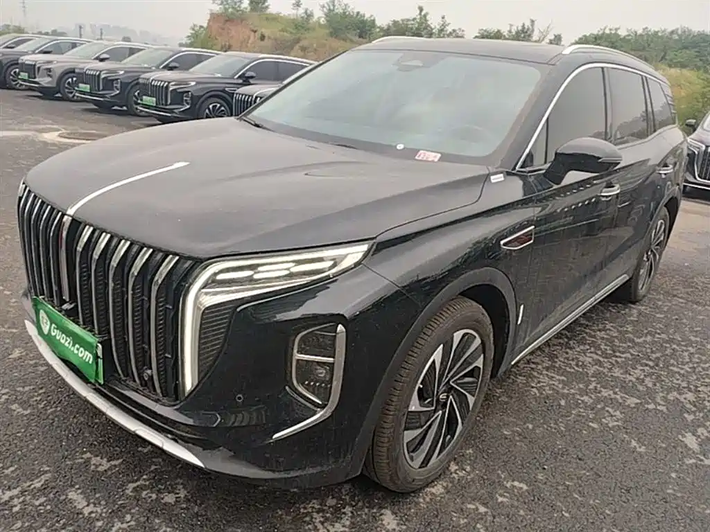 Hongqi HS7 PHEV 2024 2.0T PHEV AWD Qichang Edition 7-seater фото 2