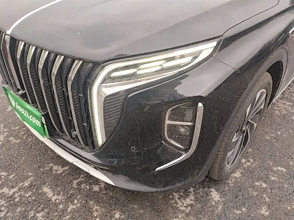 Hongqi HS7 PHEV 2024 2.0T PHEV AWD Qichang Edition 7-seater фото 24