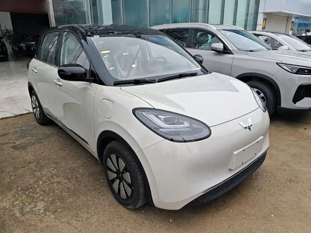 Wuling Motors Wuling Bingo 2026 2025 Model 333km Joy Edition