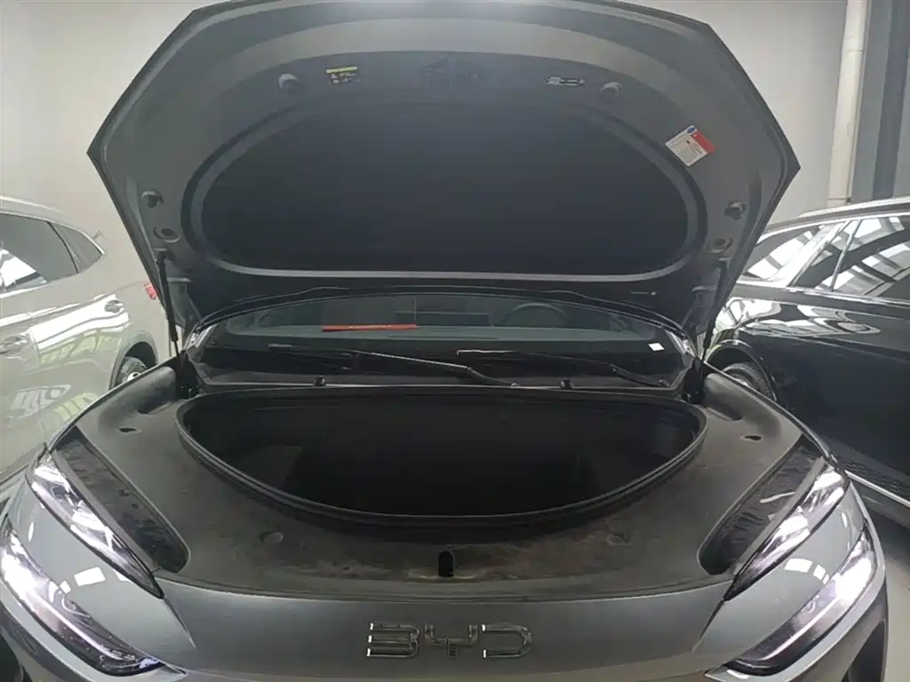 BYD Sealion 06 New Energy 2025 EV 605 Pilot Pro Edition фото 20