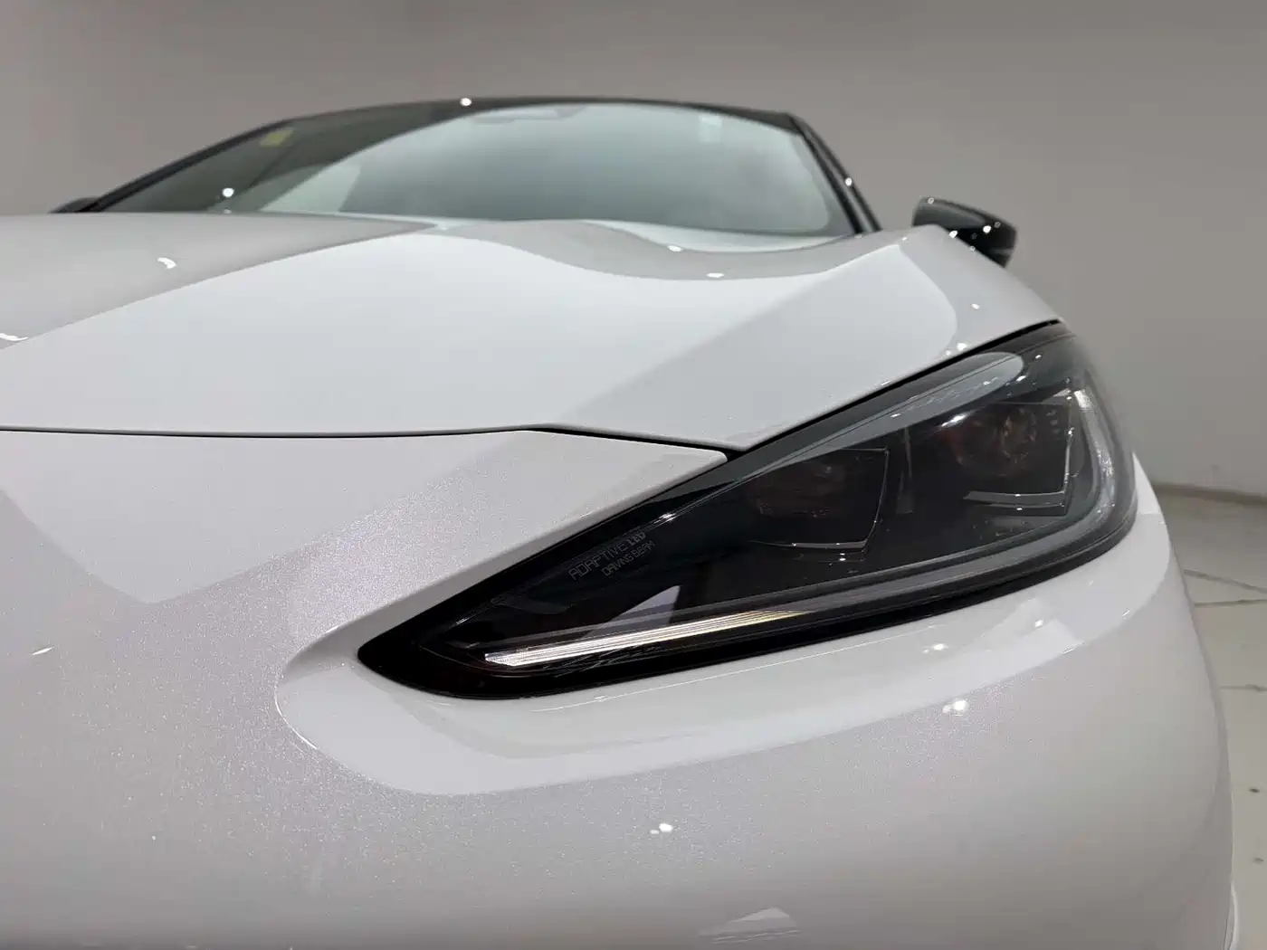 ARCFOX EXTREME FOX POLAR FOX ALPHA S6