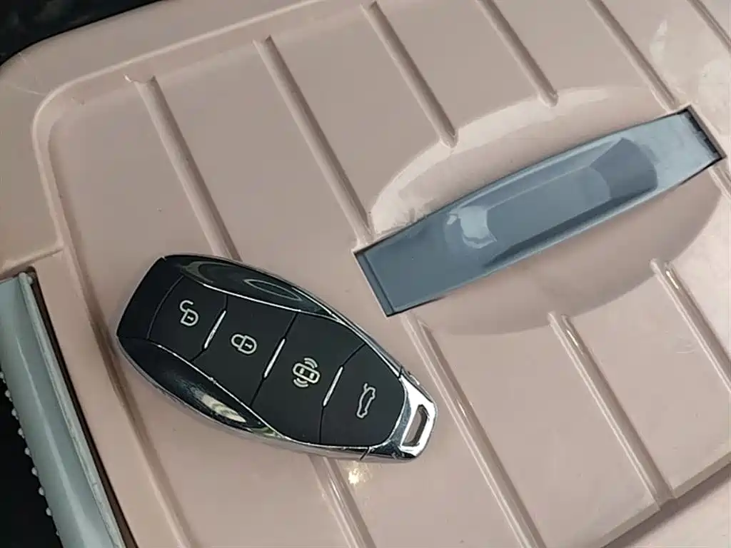 Hongqi HQ9 PHEV 2024 Model 2.0T AWD Business Edition фото 9