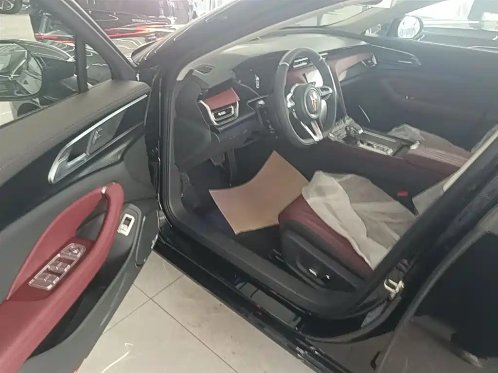 Hongqi H5 2025 2.0T Automatic Mystic Shadow 2 Million Edition фото 16