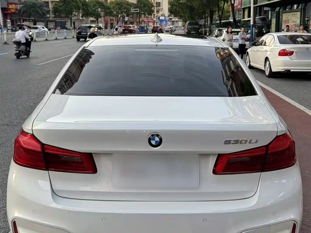 BMW 5 Series 2018 530Li Premium M Sport Package фото 9
