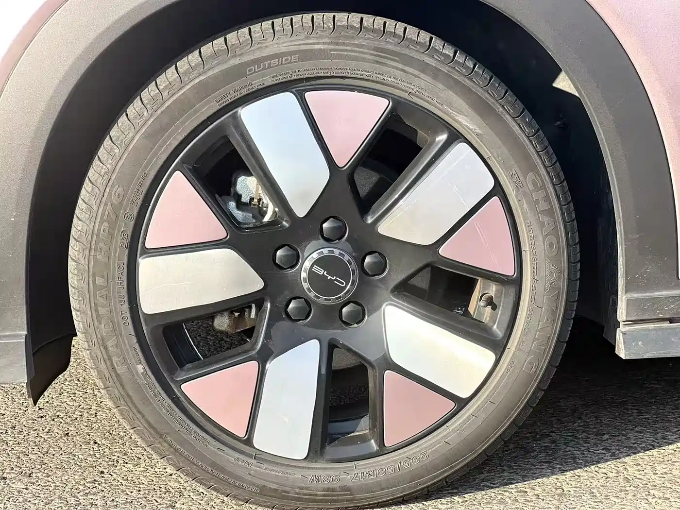 BYD Dolphin 2023 401km Knight Edition фото 15