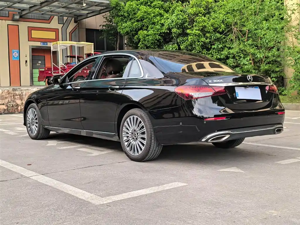 Mercedes-Benz E-Class 2022 E 300 L Luxury фото 18