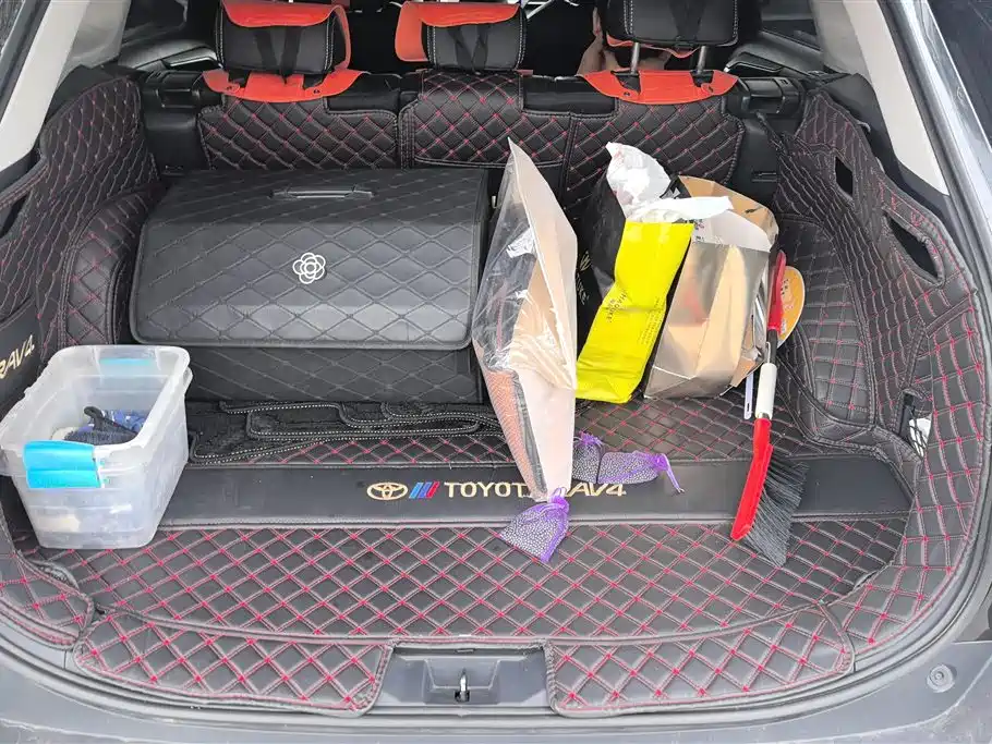 Toyota RAV4 Rongfang 2024 2.0L CVT FWD Urban Edition фото 4