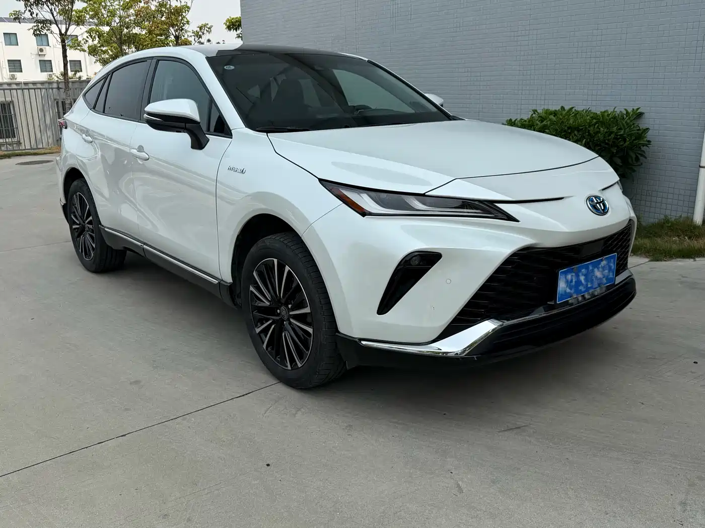 Toyota Venza 2024 2.5L Smart Hybrid 2WD Premium Edition