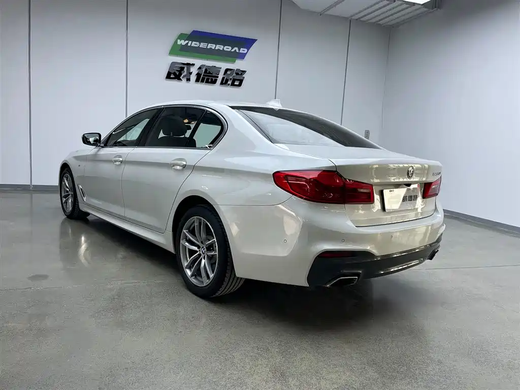 BMW 5 Series 2020 525Li M Sport Package фото 6